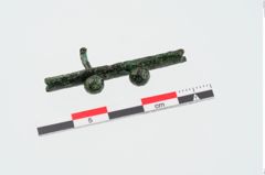 Foto von Bronzenietband (NHMW-PRAE-024945)